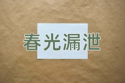 成语春光漏泄