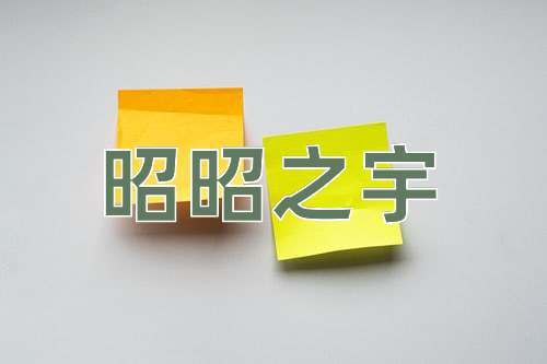 成语昭昭之宇
