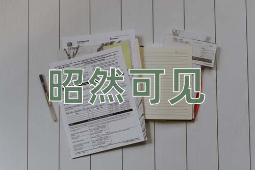 成语昭然可见