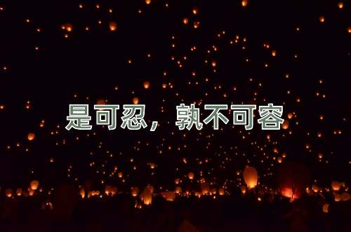 成语是可忍，孰不可容