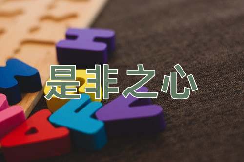 成语是非之心