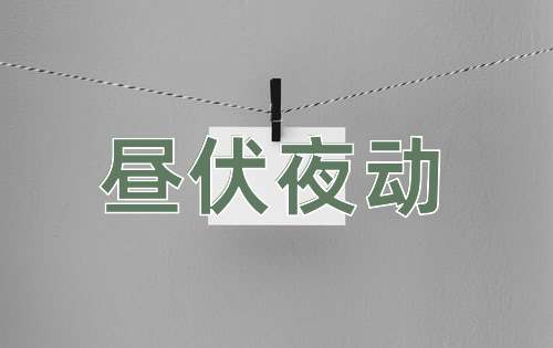成语昼伏夜动