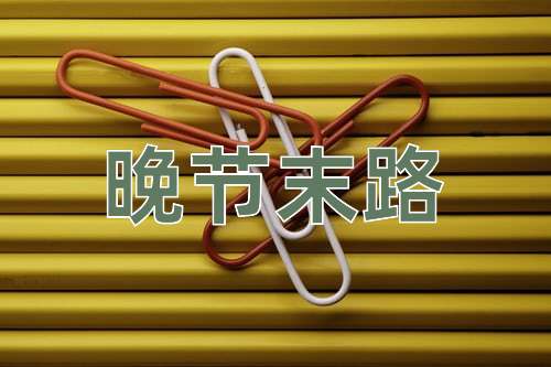 成语晚节末路