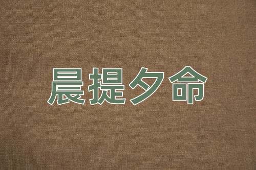 成语晨提夕命