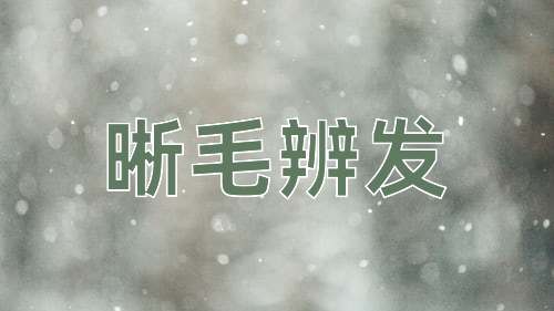 成语晰毛辨发