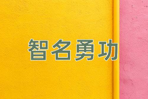成语智名勇功