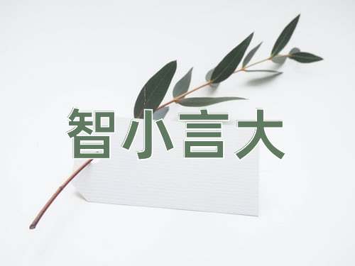 成语智小言大