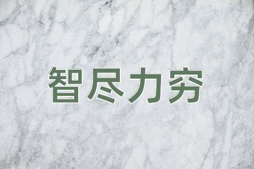 成语智尽力穷