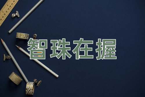 成语智珠在握
