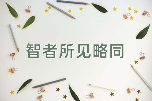 成语智者所见略同