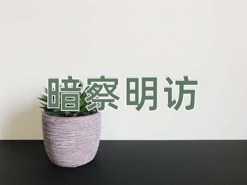 成语暗察明访