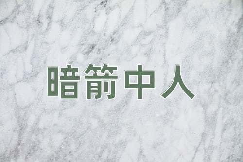 成语暗箭中人
