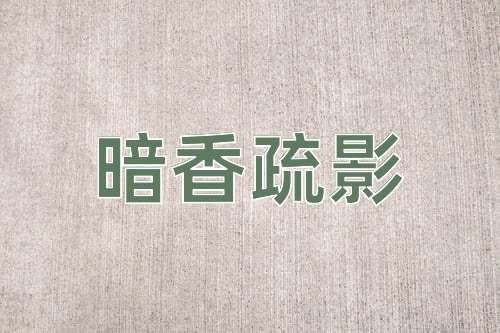 成语暗香疏影