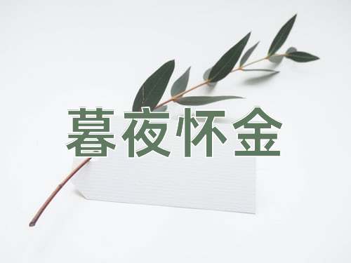 成语暮夜怀金