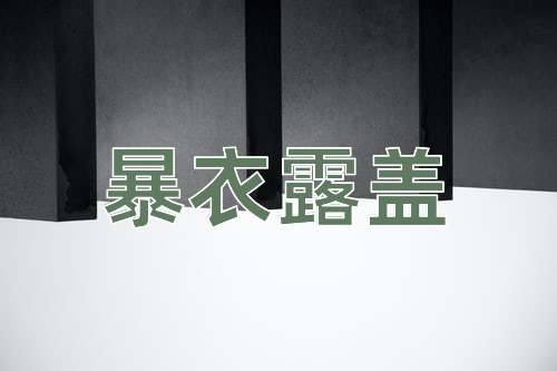 成语暴衣露盖