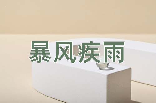 成语暴风疾雨