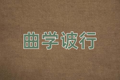 成语曲学诐行