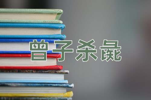 成语曾子杀彘