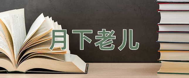成语月下老儿