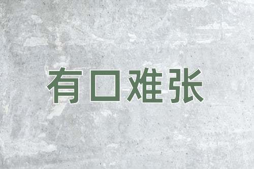 成语有口难张