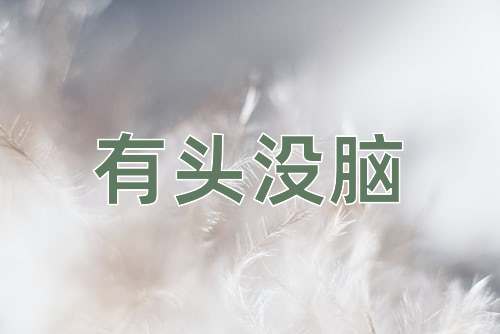 成语有头没脑