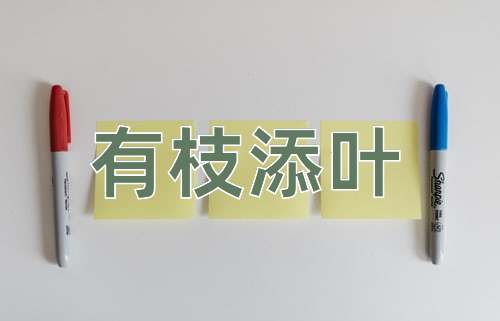 成语有枝添叶