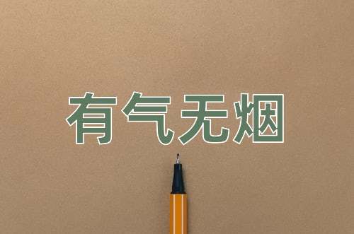 成语有气无烟