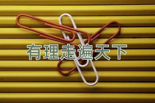 成语有理走遍天下