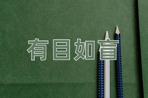 成语有目如盲