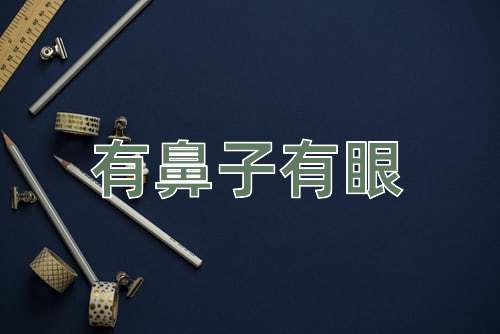 成语有鼻子有眼