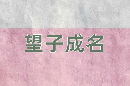 成语望子成名