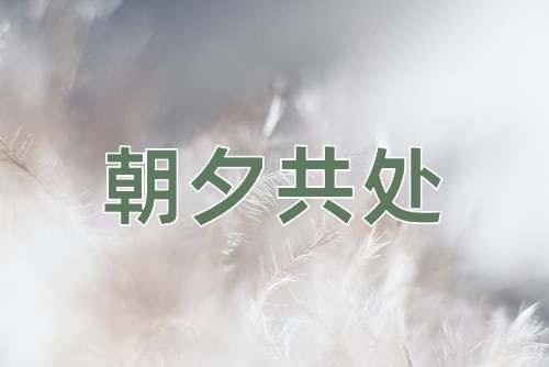 成语朝夕共处