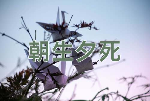成语朝生夕死