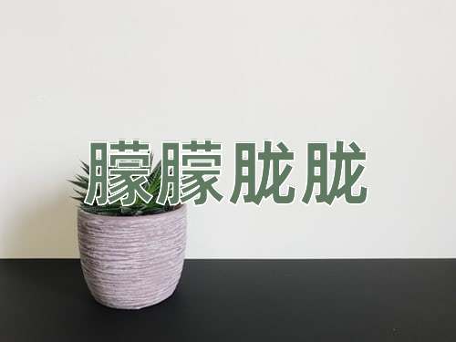 成语朦朦胧胧