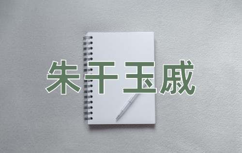 成语朱干玉戚