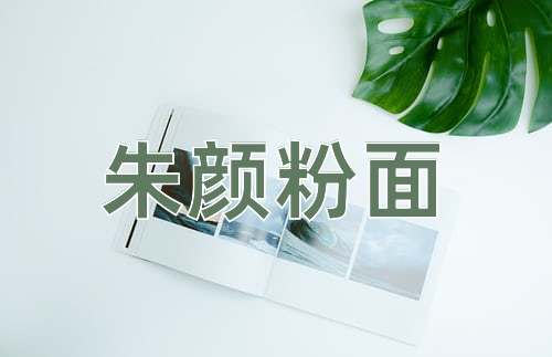 成语朱颜粉面