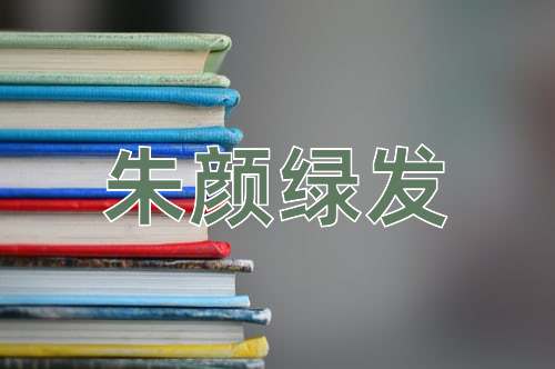 成语朱颜绿发