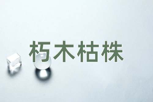 成语朽木枯株