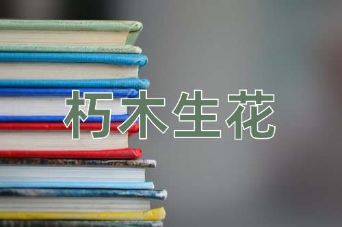 成语朽木生花