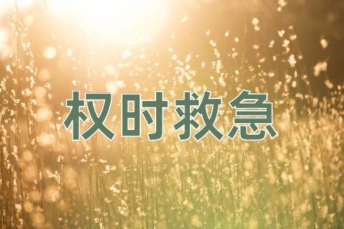 成语权时救急