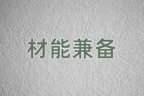 成语材能兼备