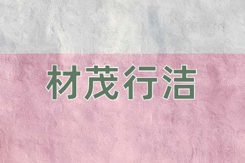 成语材茂行洁
