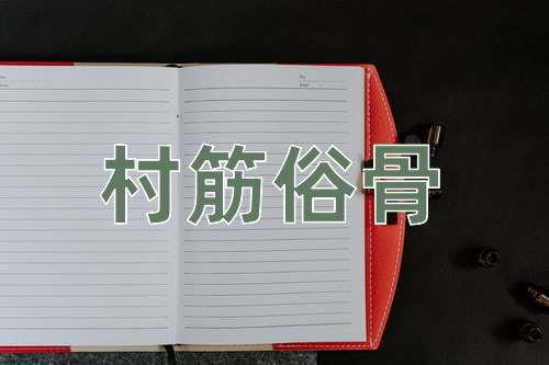 成语村筋俗骨