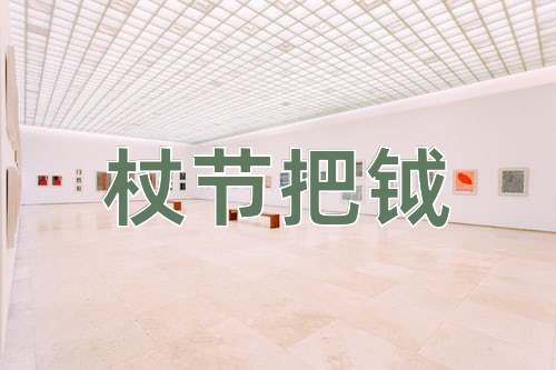成语杖节把钺