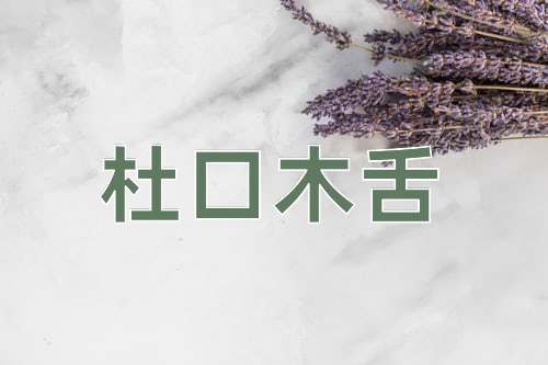 成语杜口木舌