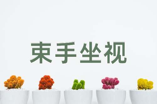 成语束手坐视