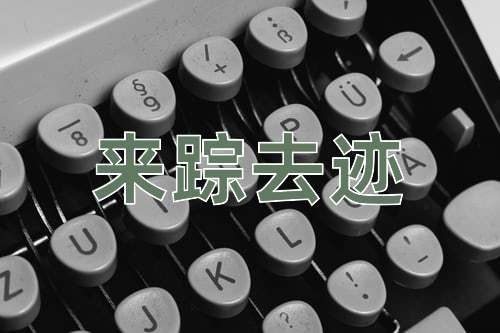 成语来踪去迹