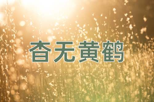 成语杳无黄鹤