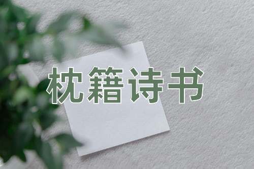 成语枕籍诗书