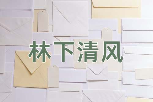 成语林下清风